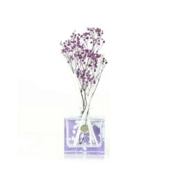 Plum Blossom & Pomegranate Floral Reed Diffuser