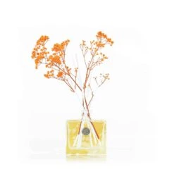 Orange Blossom & Mandarin Floral Reed Diffuser