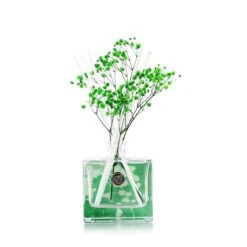 Winter Jasmine & Green Leaves Reed Diffuser